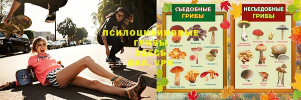 соль ск Алзамай